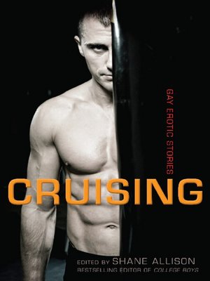 cover image of Cruising